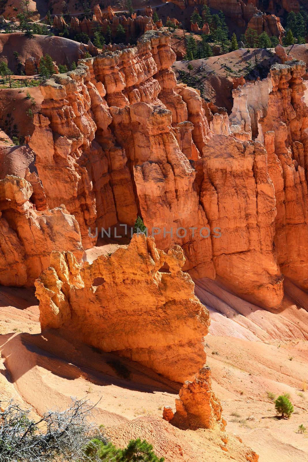 spectacular Hoodoo rock spires of Bryce Canyon, Utah, USA