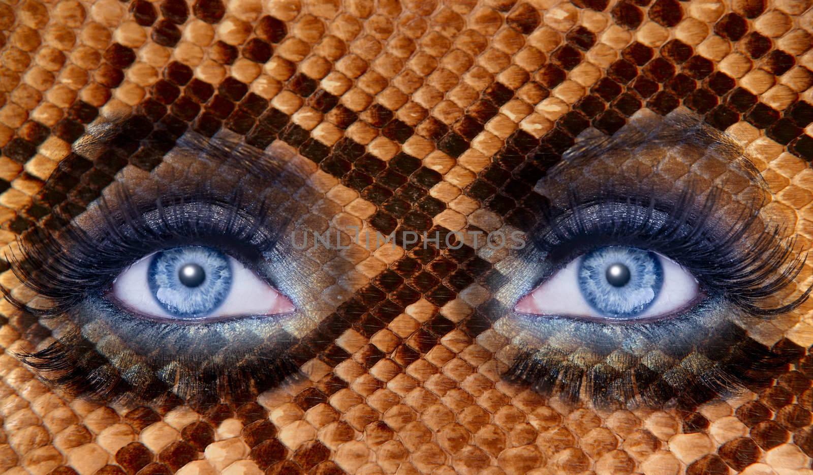 blue fashion makeup eyes snake skin texture animal wildlife metaphor