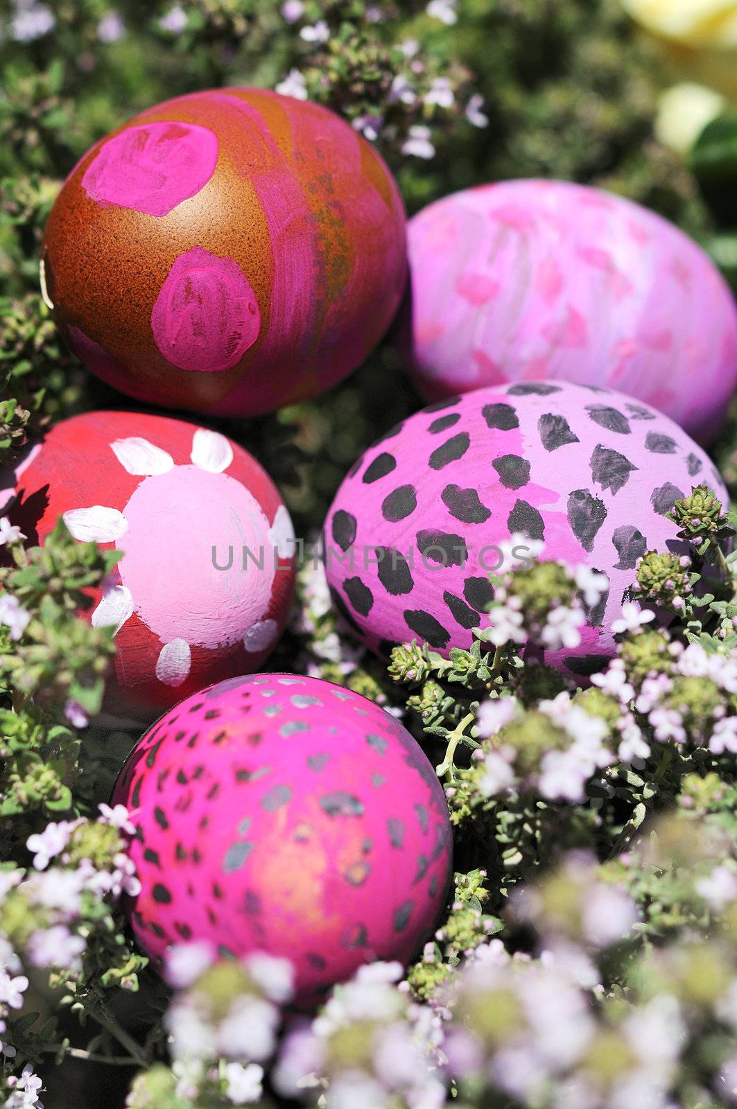 Row of Easter Eggs with Daisy on Fresh Green Grass 