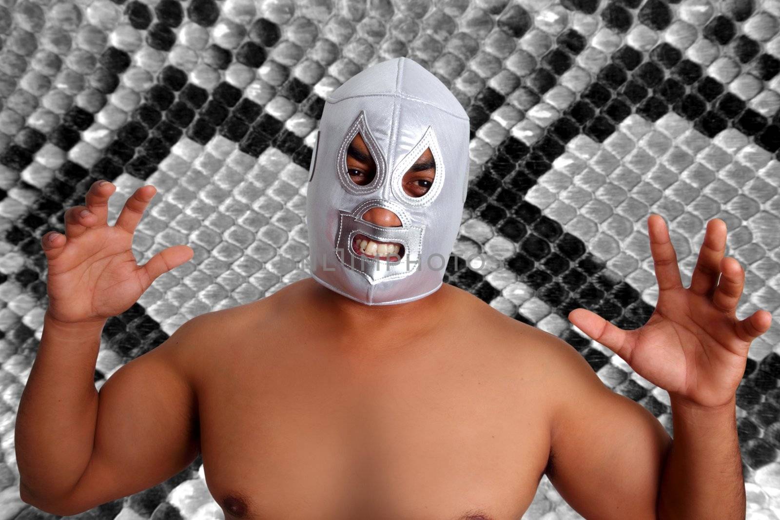 mexican wrestling mask silver fighter gesture snake texture background