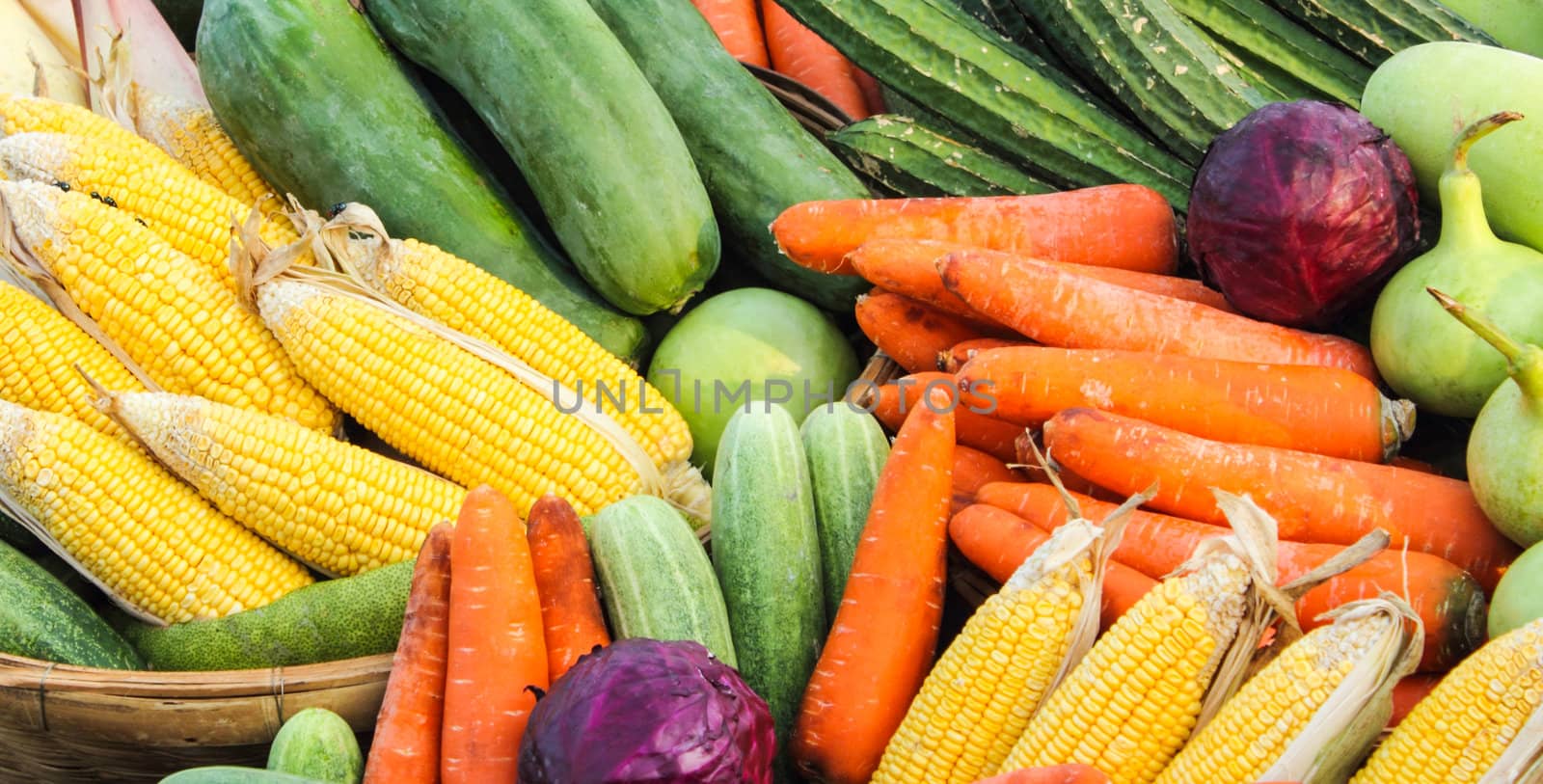 Vegetables group Carrots, cauliflower, corn, cucumbers, squash and papaya