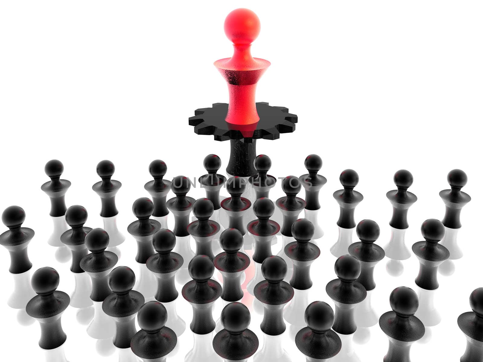 Head of business group