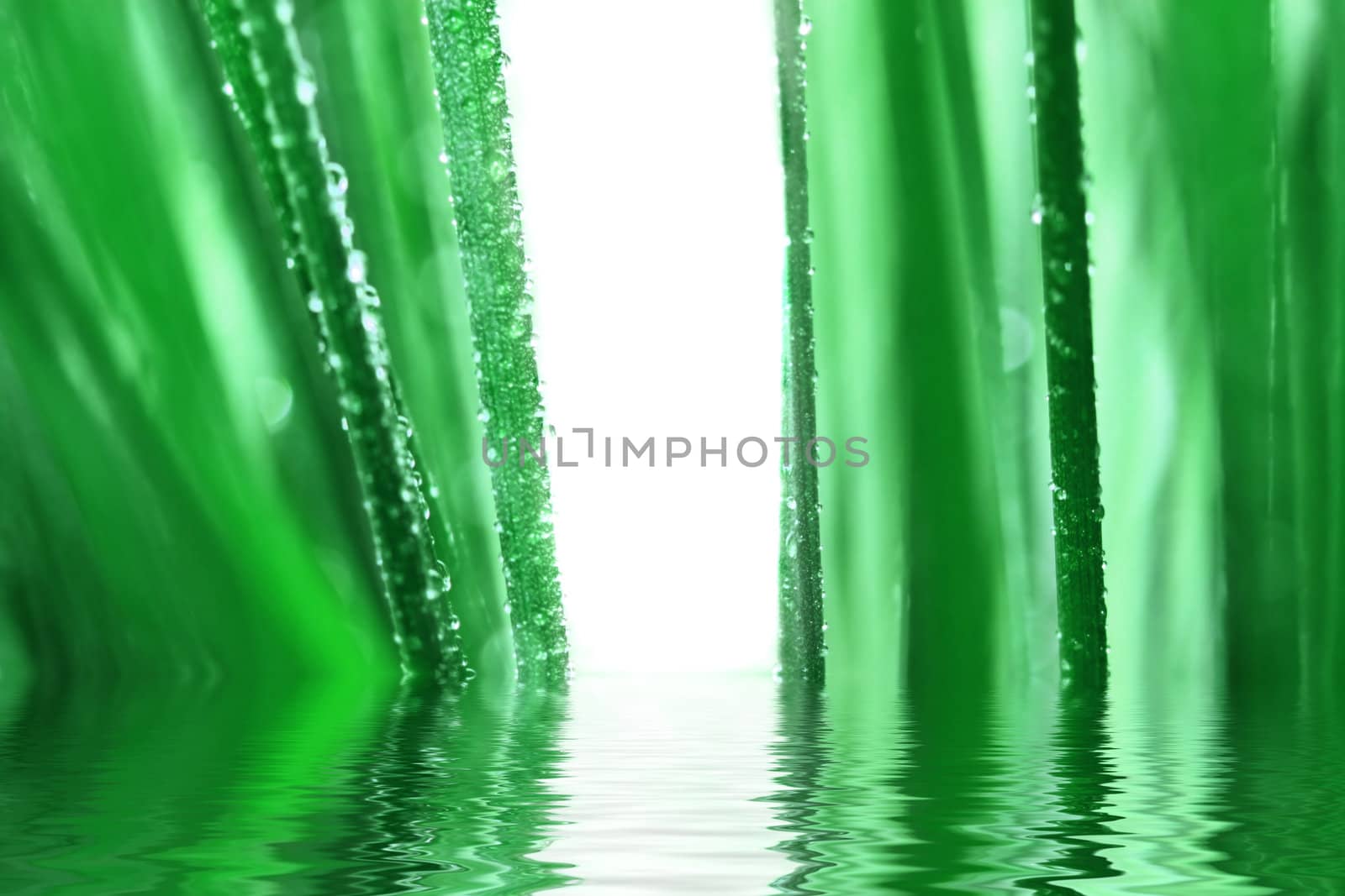 Green grass background with water drops  by MartMartov