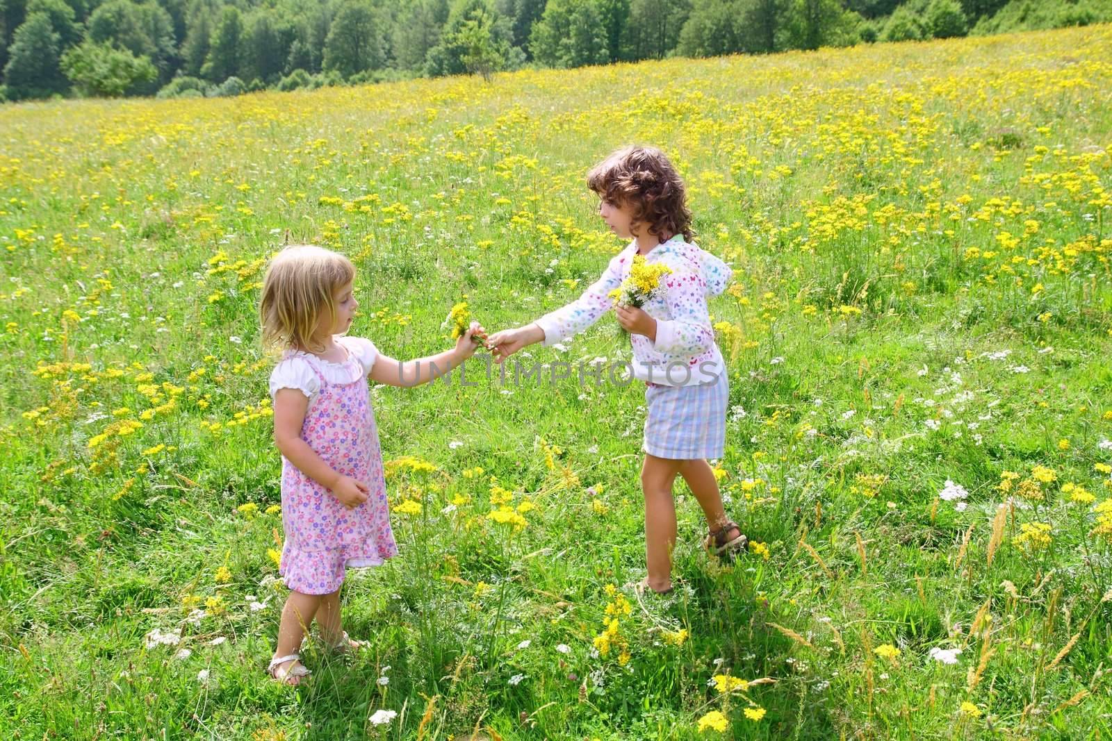 sister girls in meadow playing with spring flowers outdoor