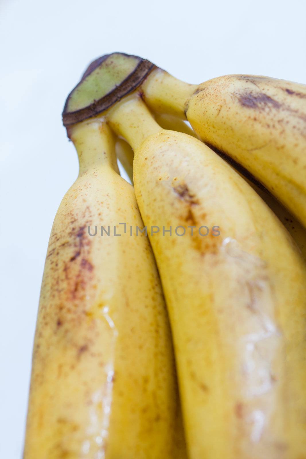 small bananas by Teka77