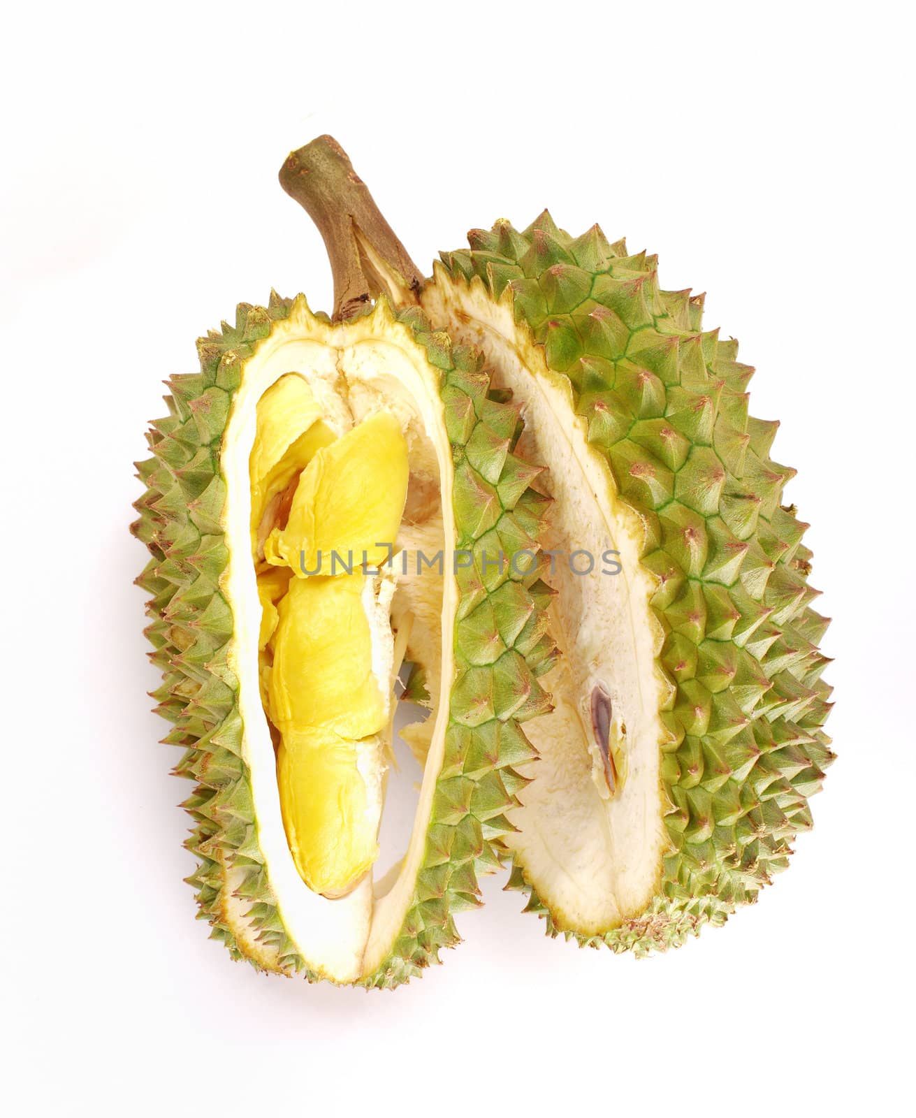 Fresh Durian isolated on white background