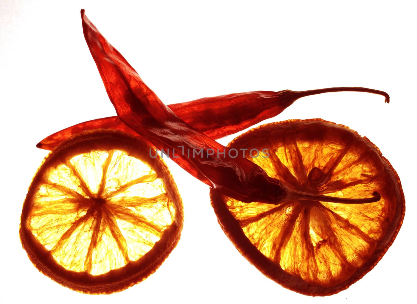 Dry lemons and peppers as a bicycle concept