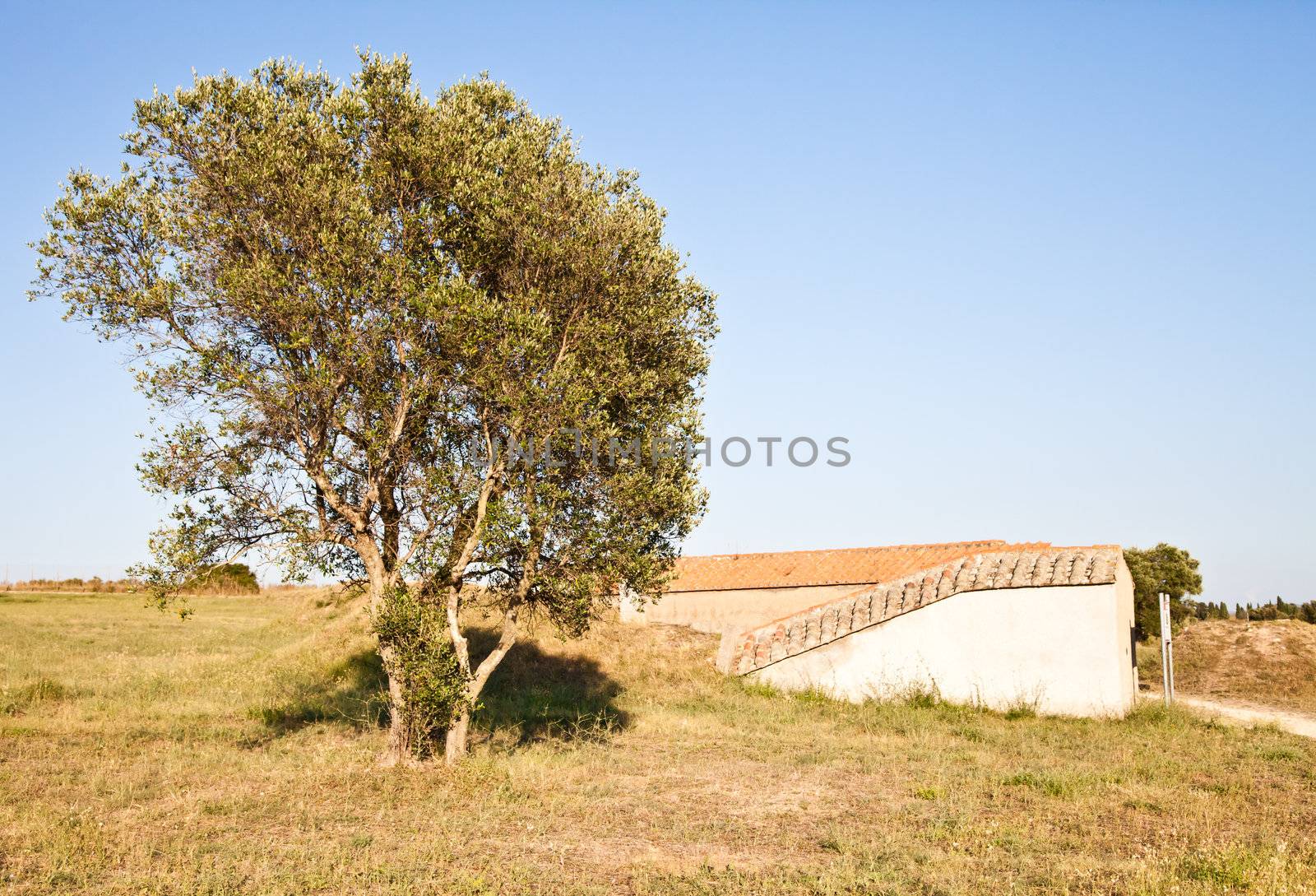 Tarquinia, Italy. This is the entrance of an Etruscan tomb (around 470 B.C.) Via a narrow corridor leading downstair one has access to the rectangular burial.