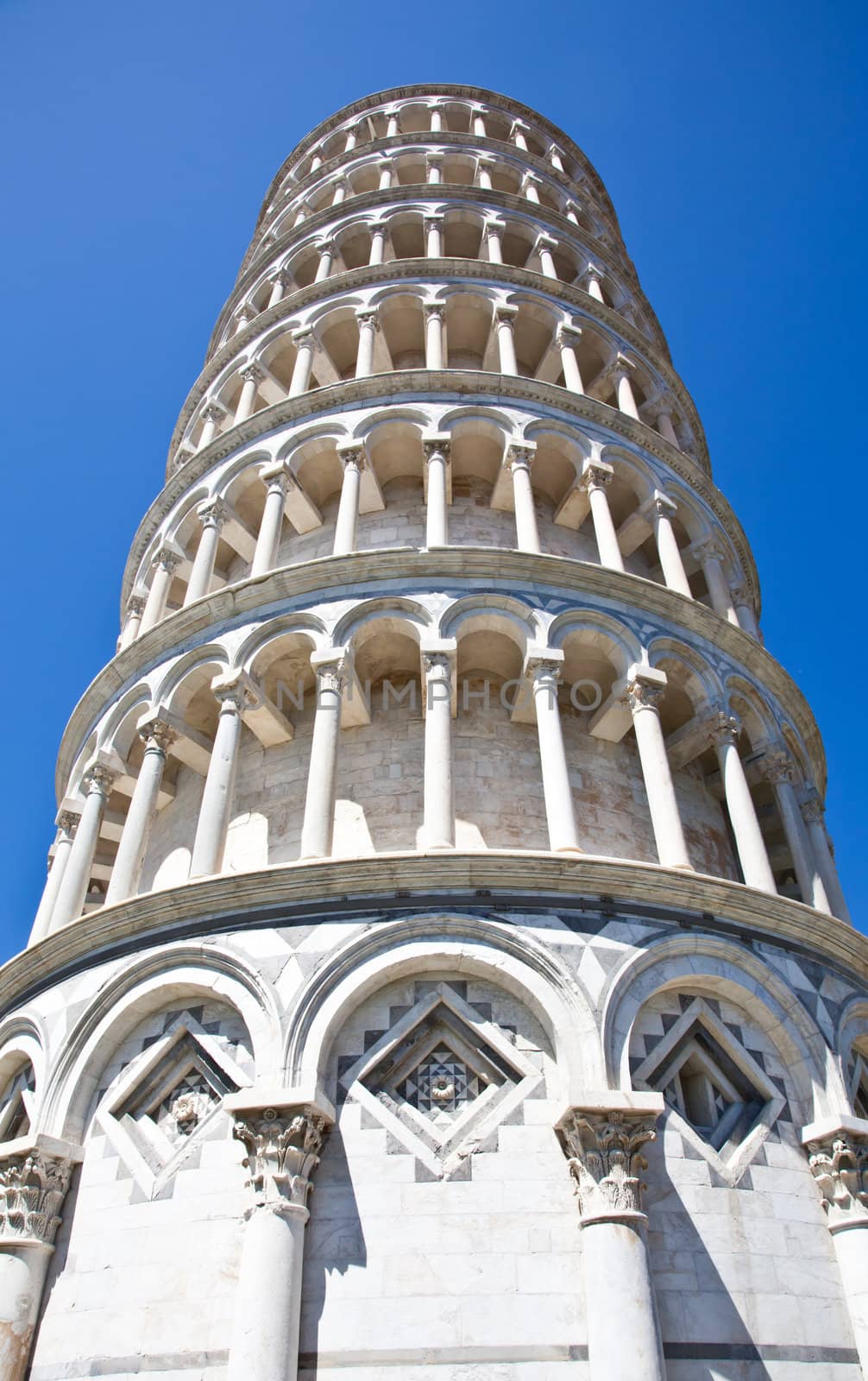 Italy - Pisa. The famous leaning tower on a perfect blue bakcground