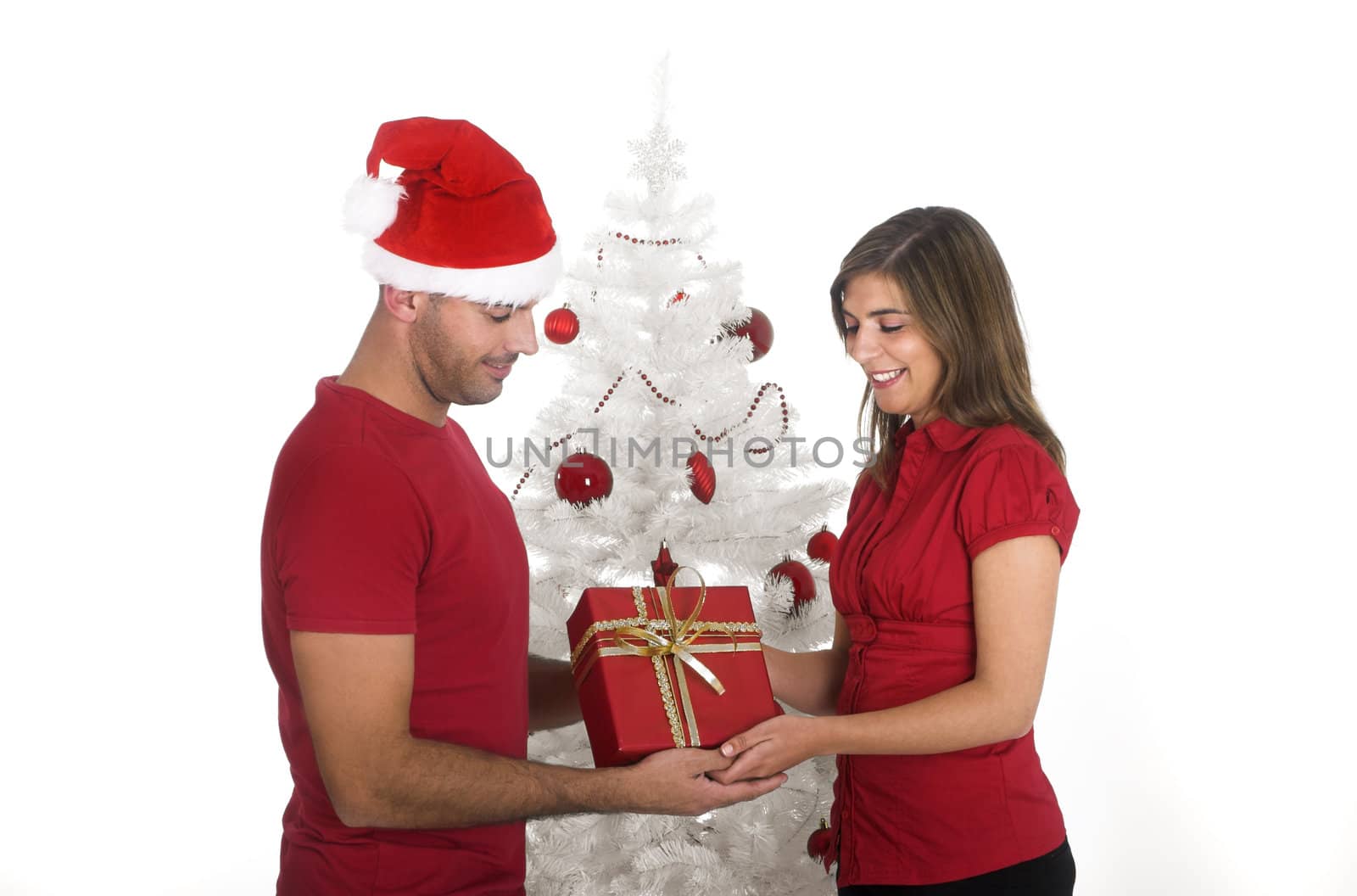 Happy couple holding a Christmas present near a white tree