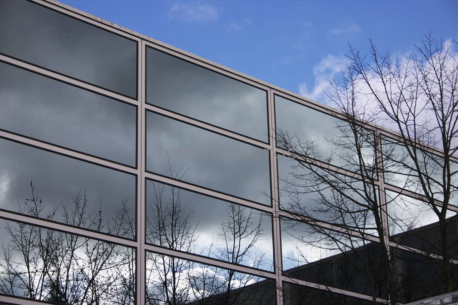 reflection of blue sky and trees in modern building