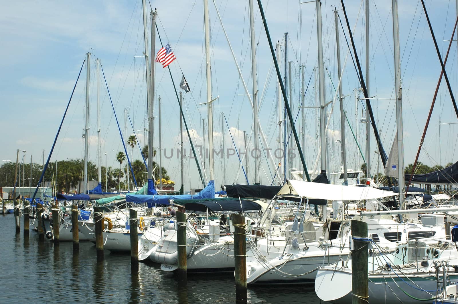 Yachts lined up at the Municipal Marina in St. Petersburg, Florida.