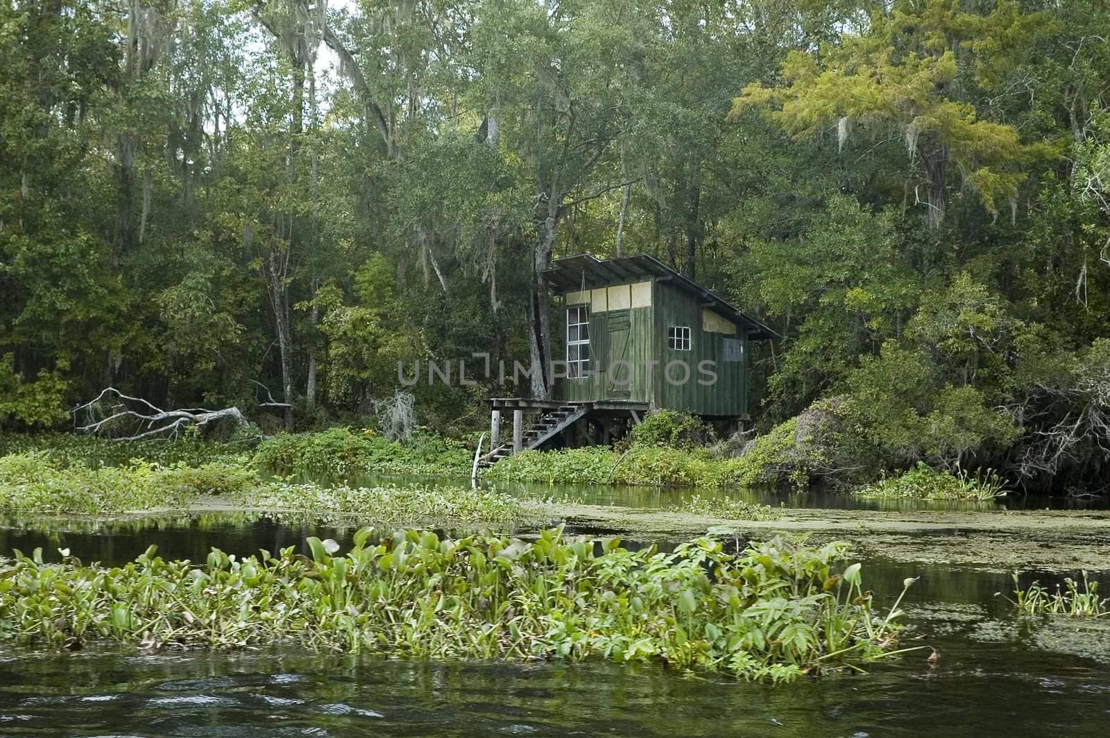 An old fishing shack on the St. Marks River in Florida.