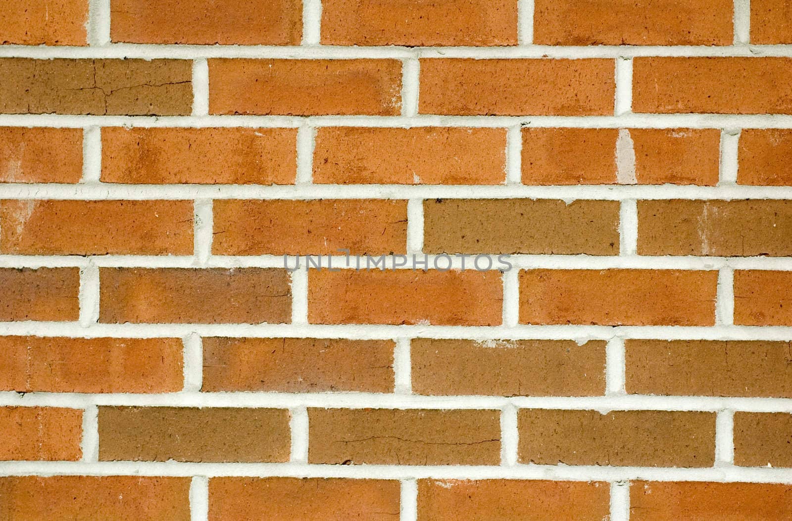 Bricks by suwanneeredhead