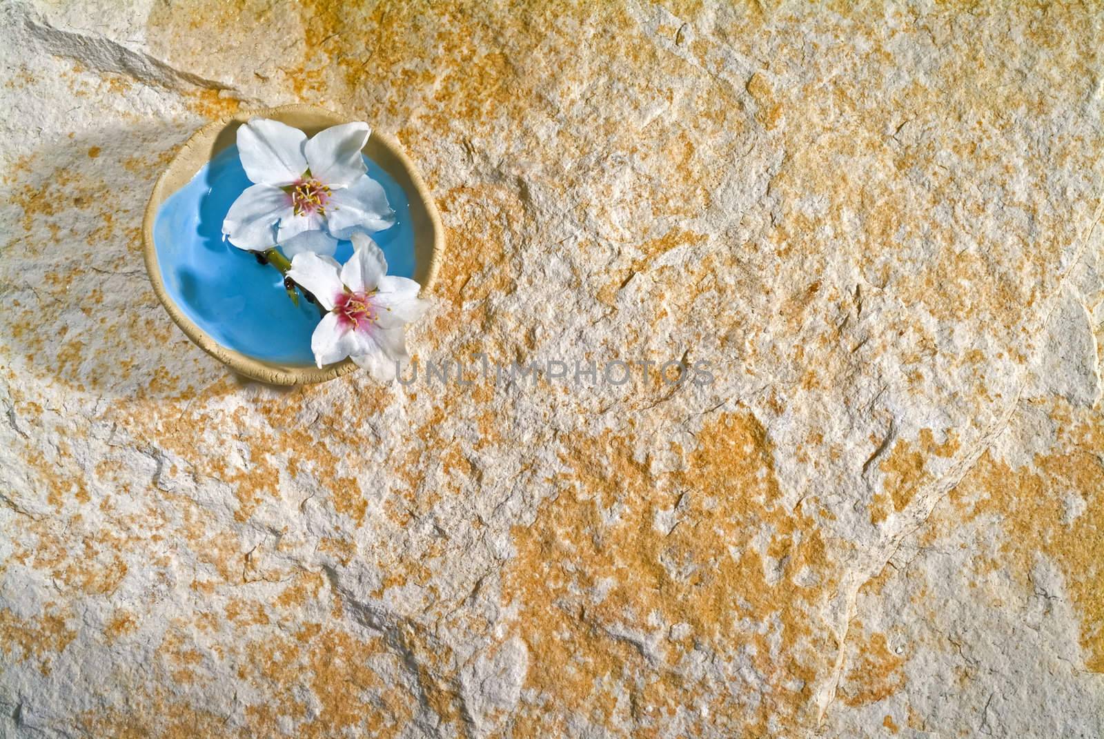 almond flowers in a small bowl on stone background