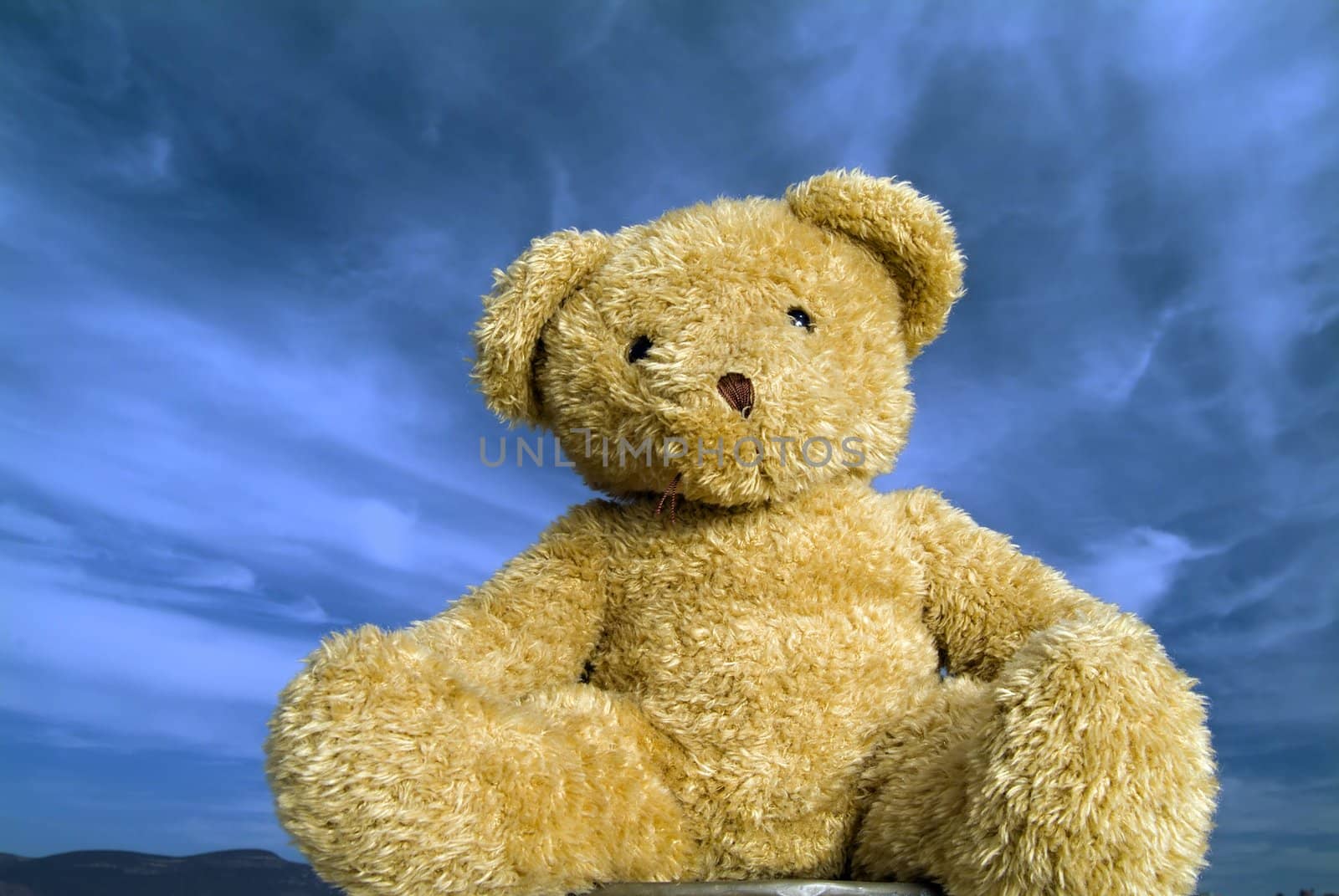 Teddy bear agaist blue sky with cirrus clouds