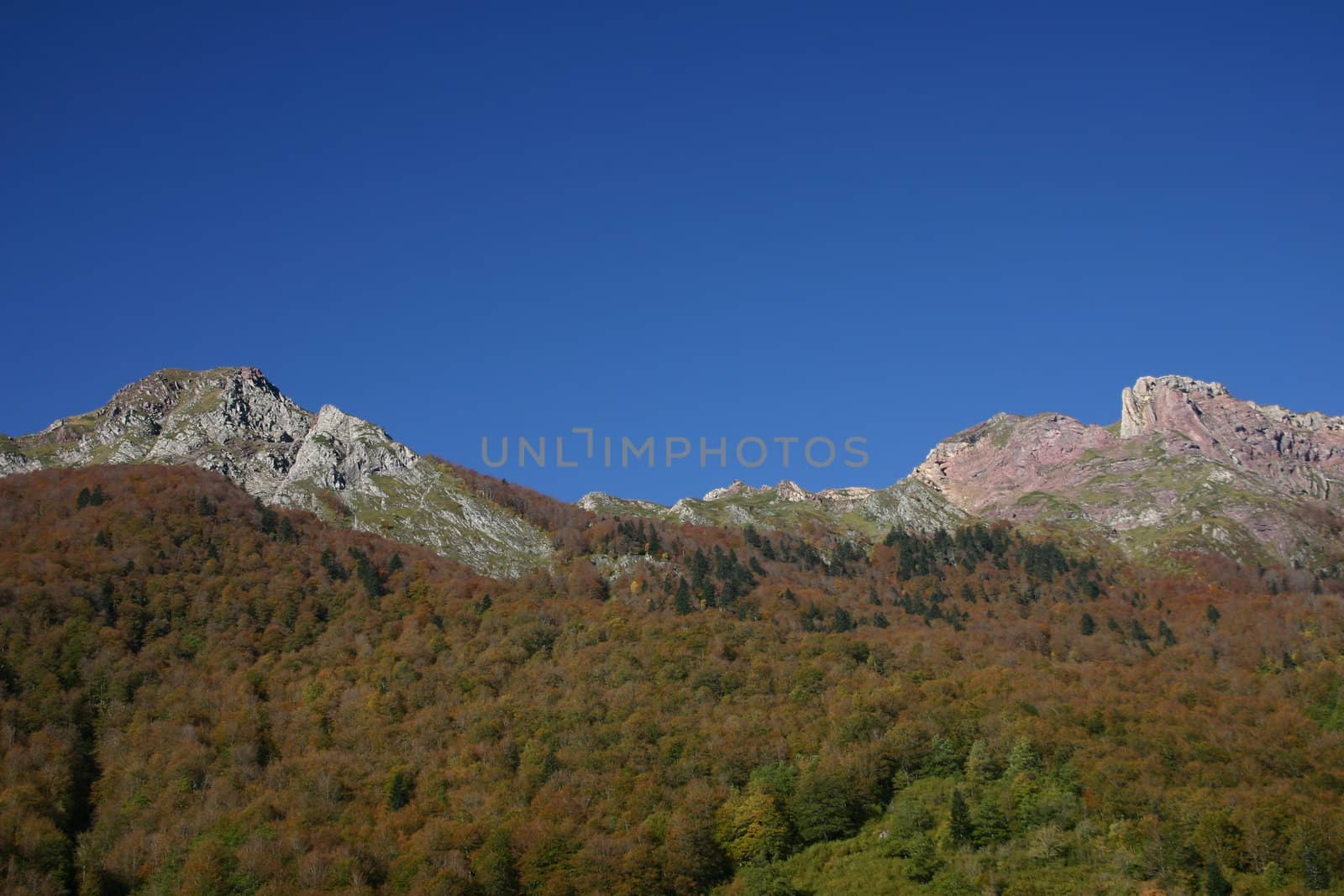  taken in the french (Pre)Pyrenees, department Pyrenees atlantique, plenty of copy space