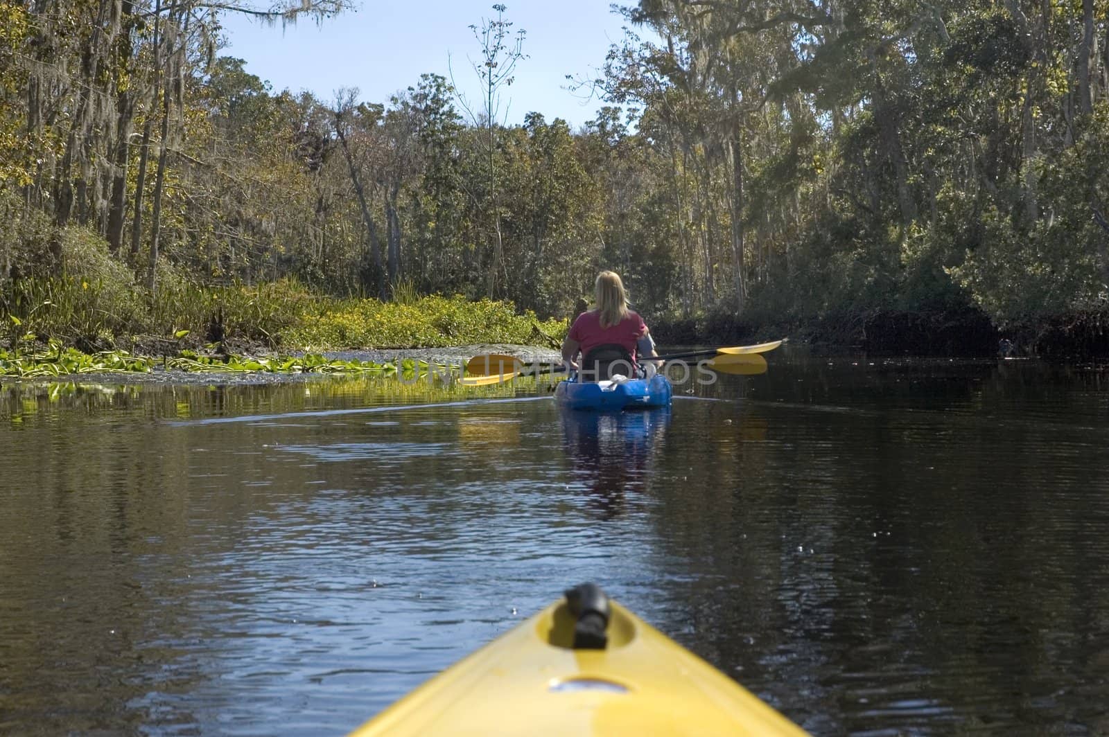 Kayaking the creek near the Suwannee River, Suwannee, Florida