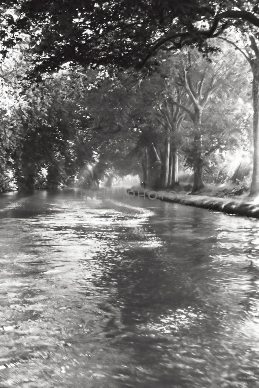 b/w image of Canal du Midi in southern France, Europe, taken from middle of canal, softened to give it a dream-like feel