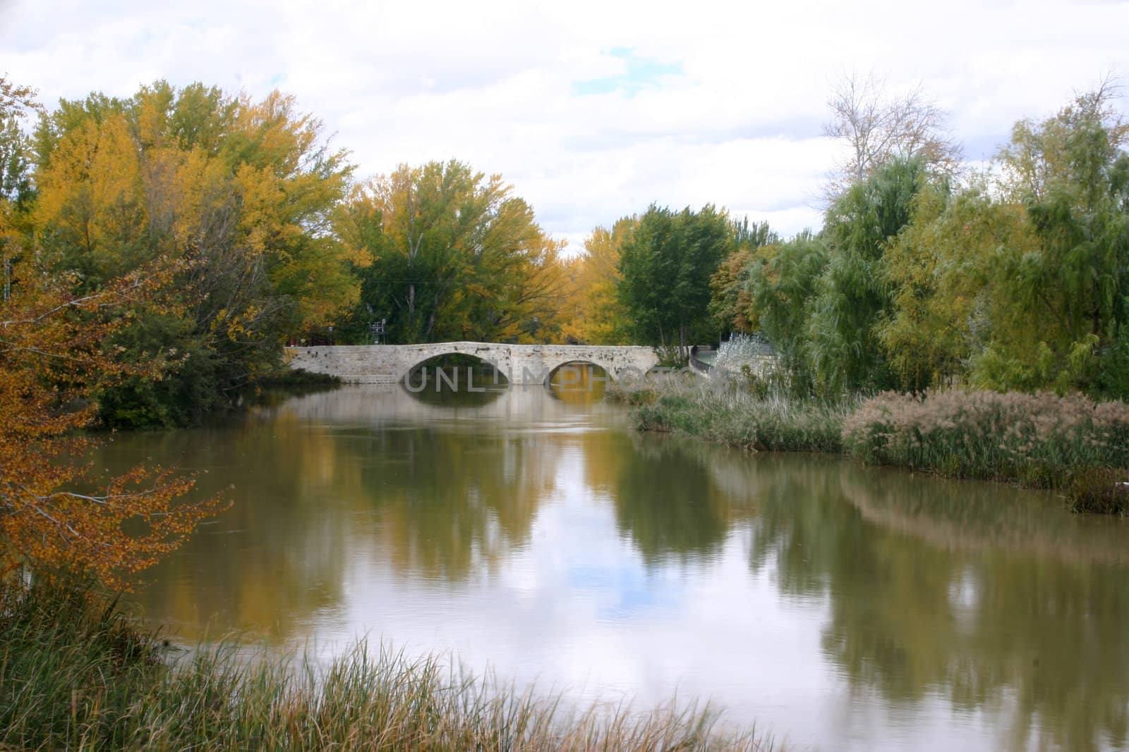 medieval bridge over the river Carrion  in Palencia, Spain