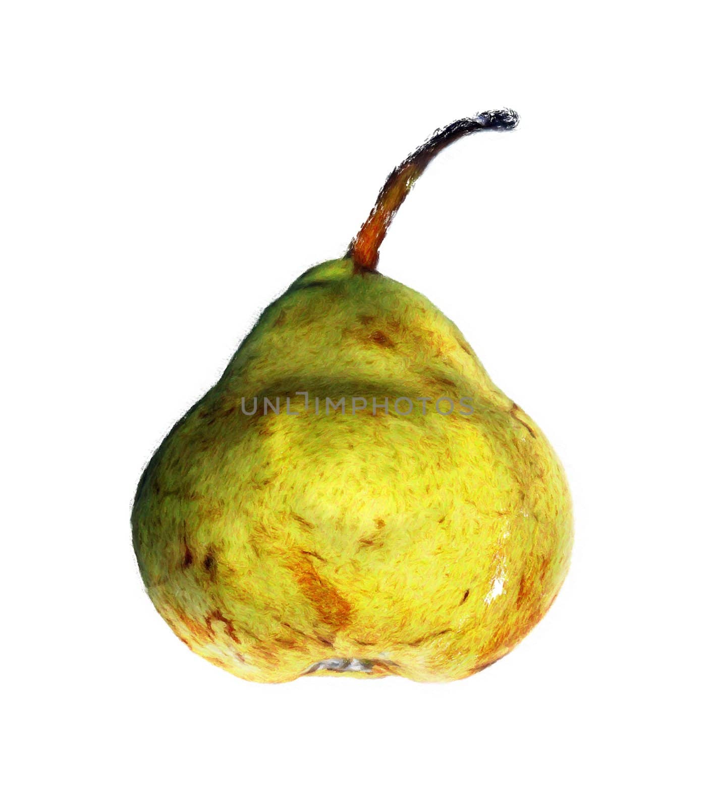 The image of a pear on a white background