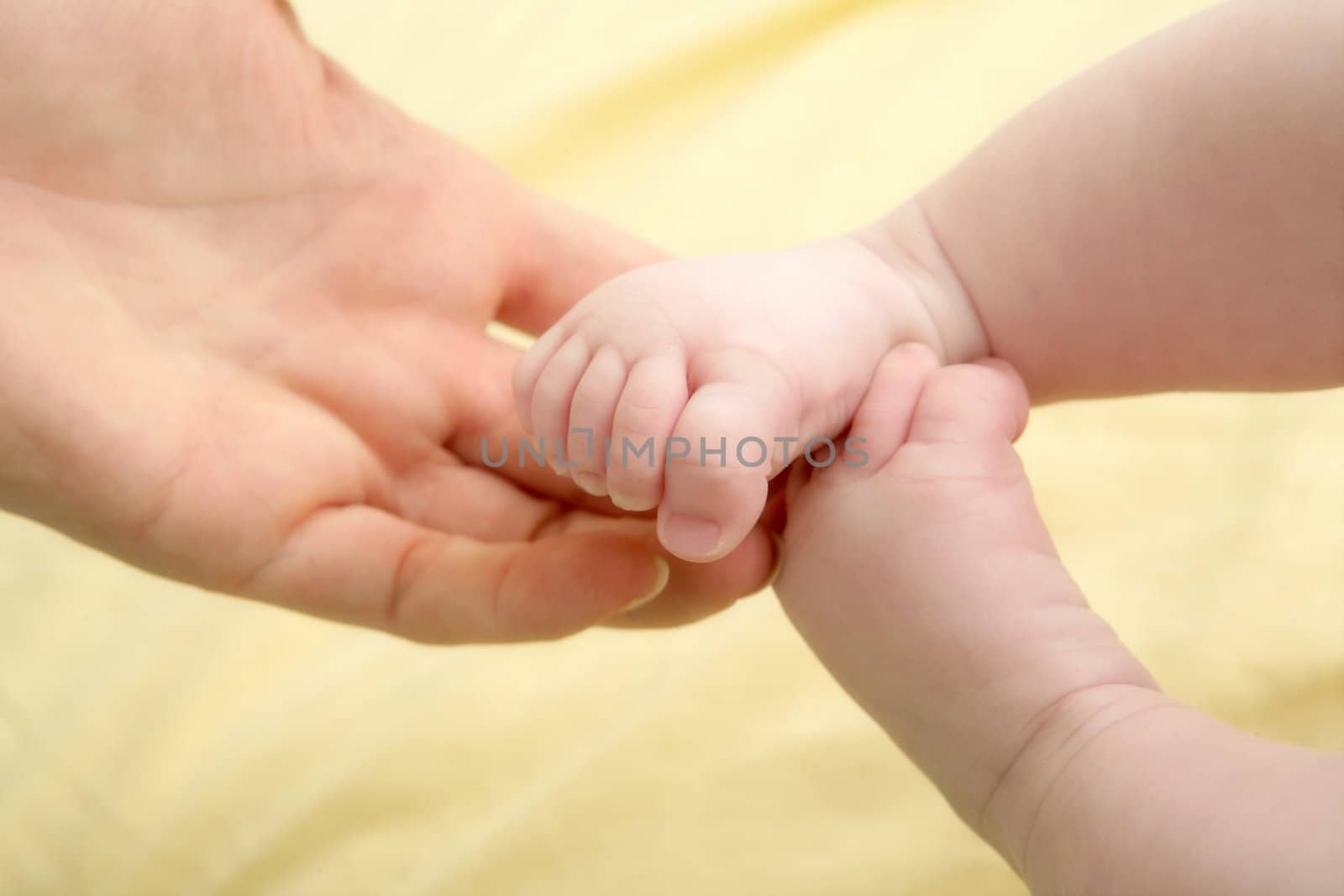 baby feet in mother hands playing together