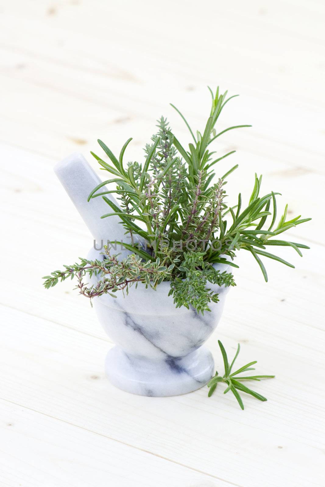 fresh herbs - thyme and rosemary by miradrozdowski