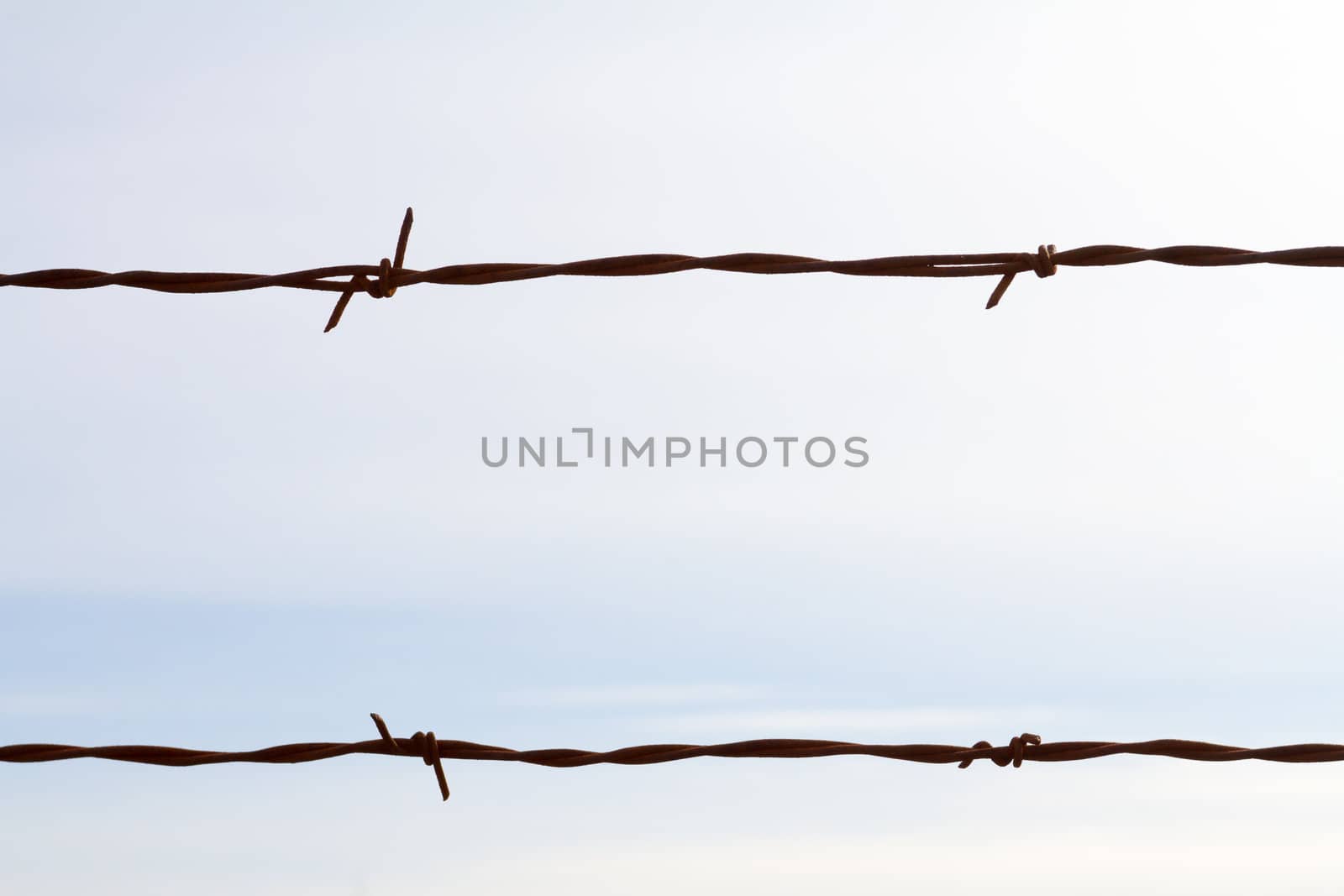 This color image shows nothing but a piece of barbed wire against a cloudy sky to create a very simple abstract background with the fencing.