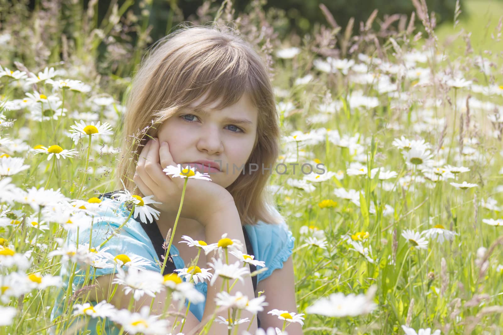 little girl on the meadow in summer day  by miradrozdowski