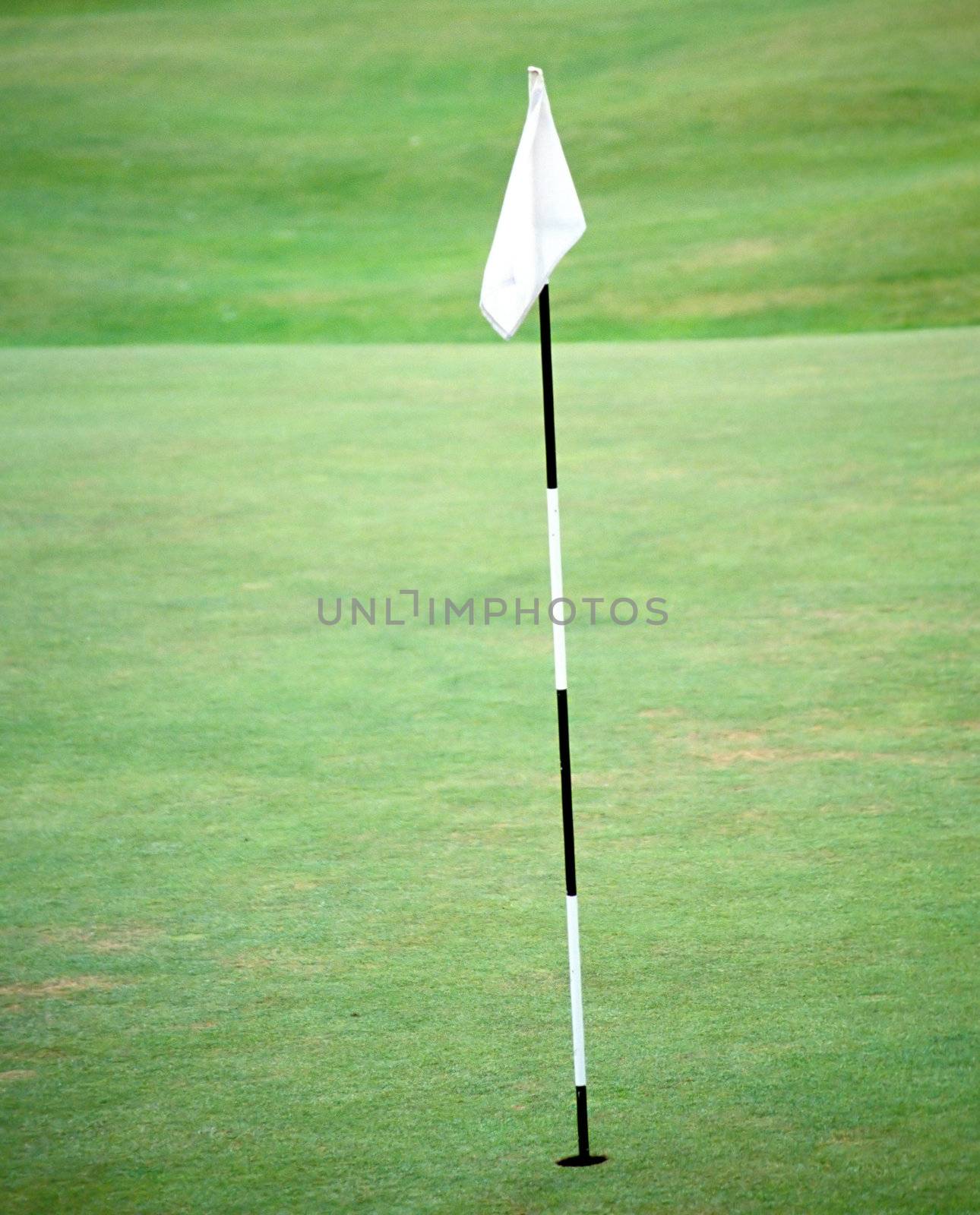 Golf pole flag on the fairway.