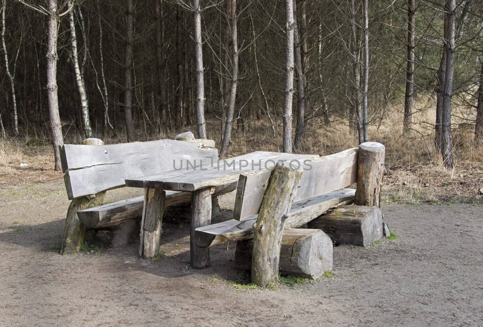 wooden bench in the forest in holland 