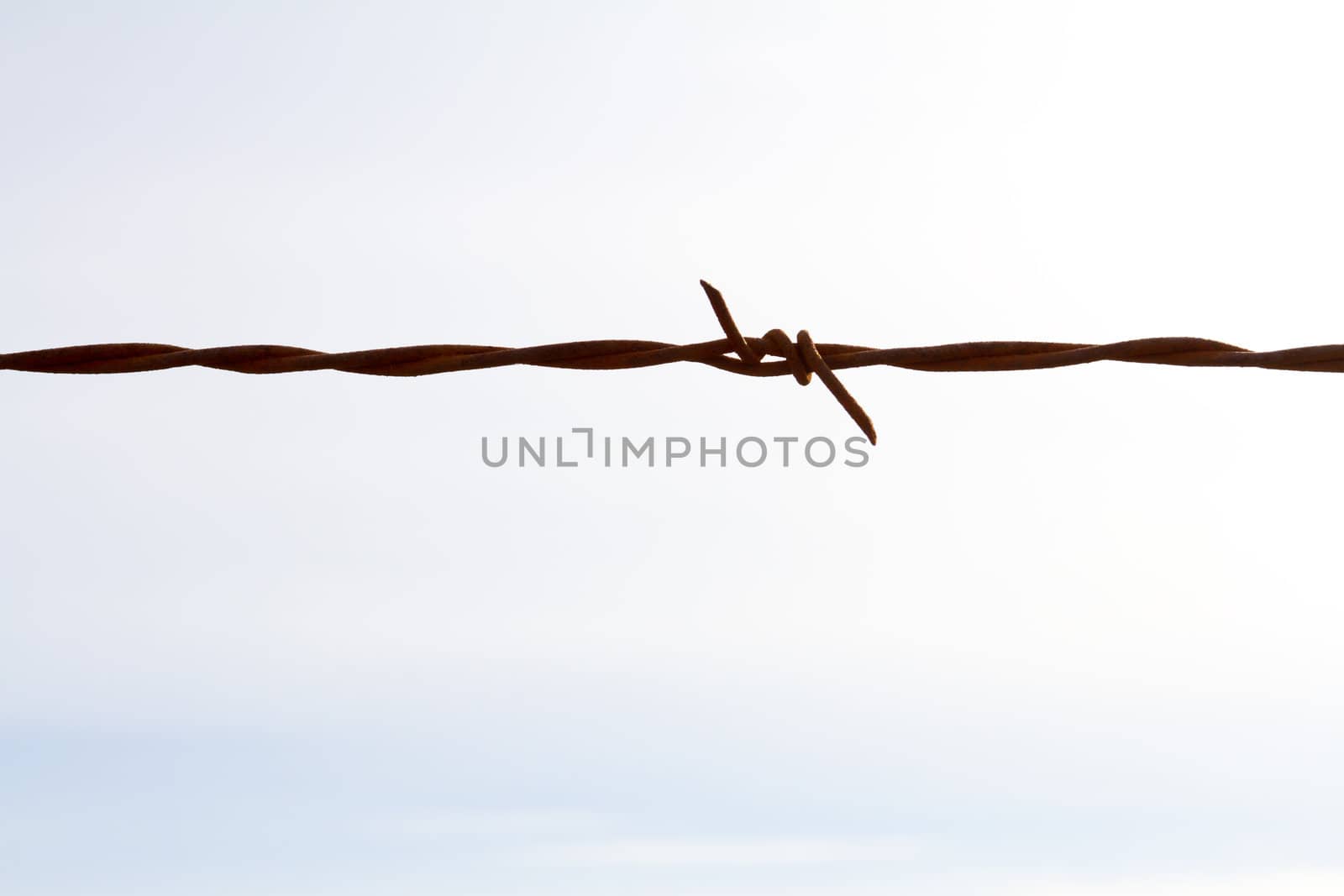 This color image shows nothing but a piece of barbed wire against a cloudy sky to create a very simple abstract background with the fencing.