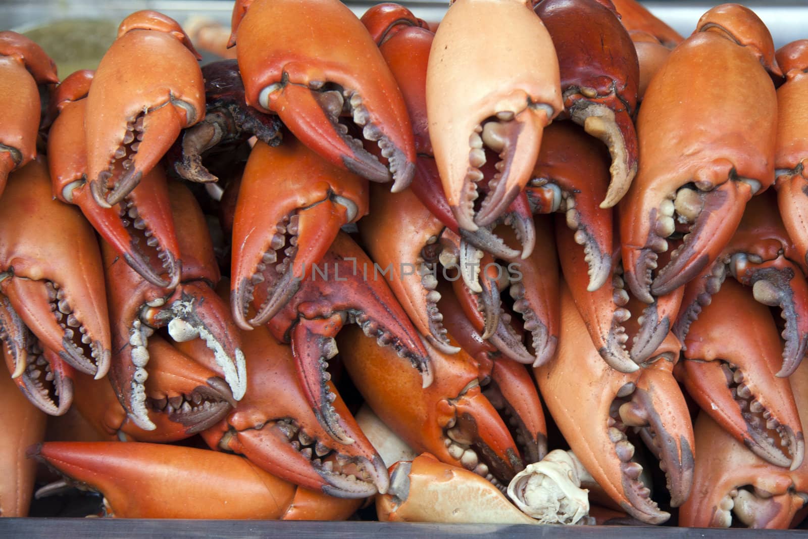 Crab Claws