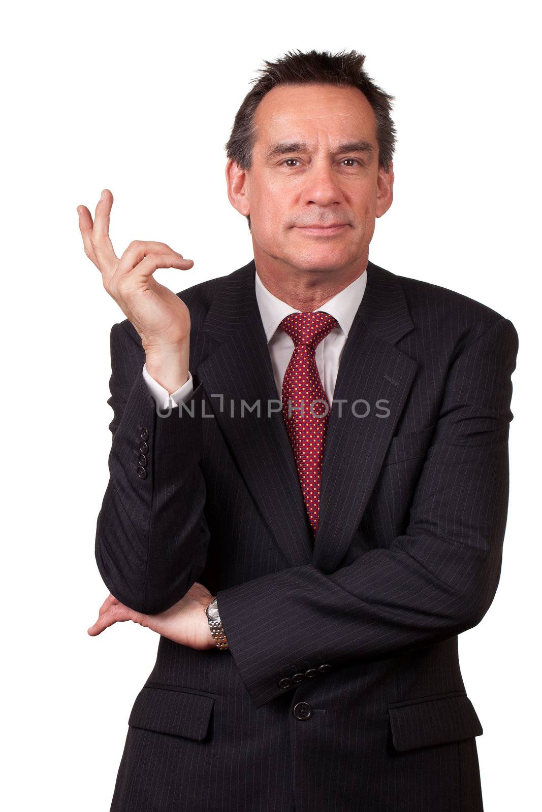 Attractive Smiling Middle Age Business Man in Suit Gesturing with Hand Isolated