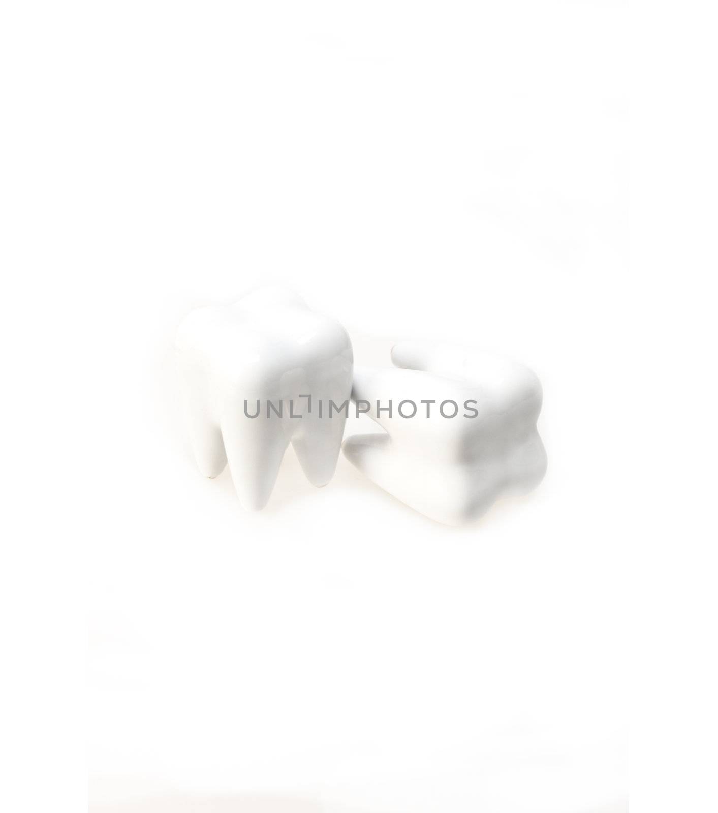 two teeth isolated on white by keko64