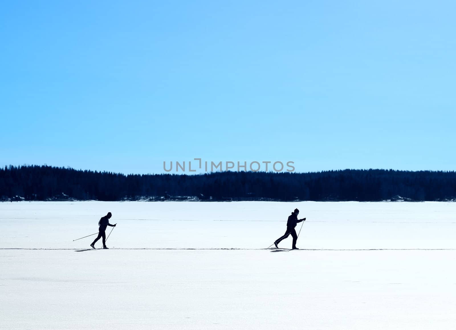 Skiers nordic skiing on frozen lake winter trail