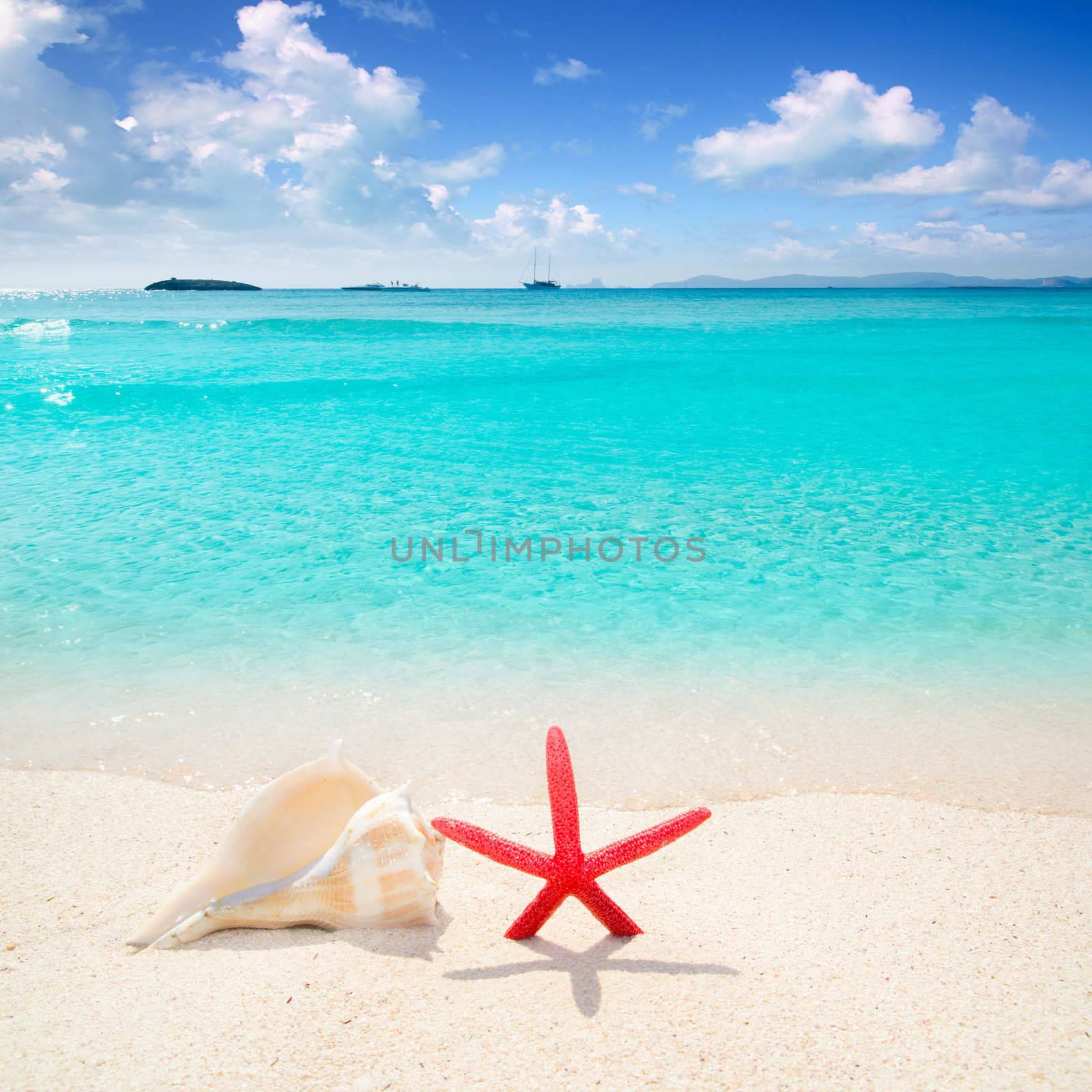 Starfish and seashell in white sand beach with turquoise tropical water