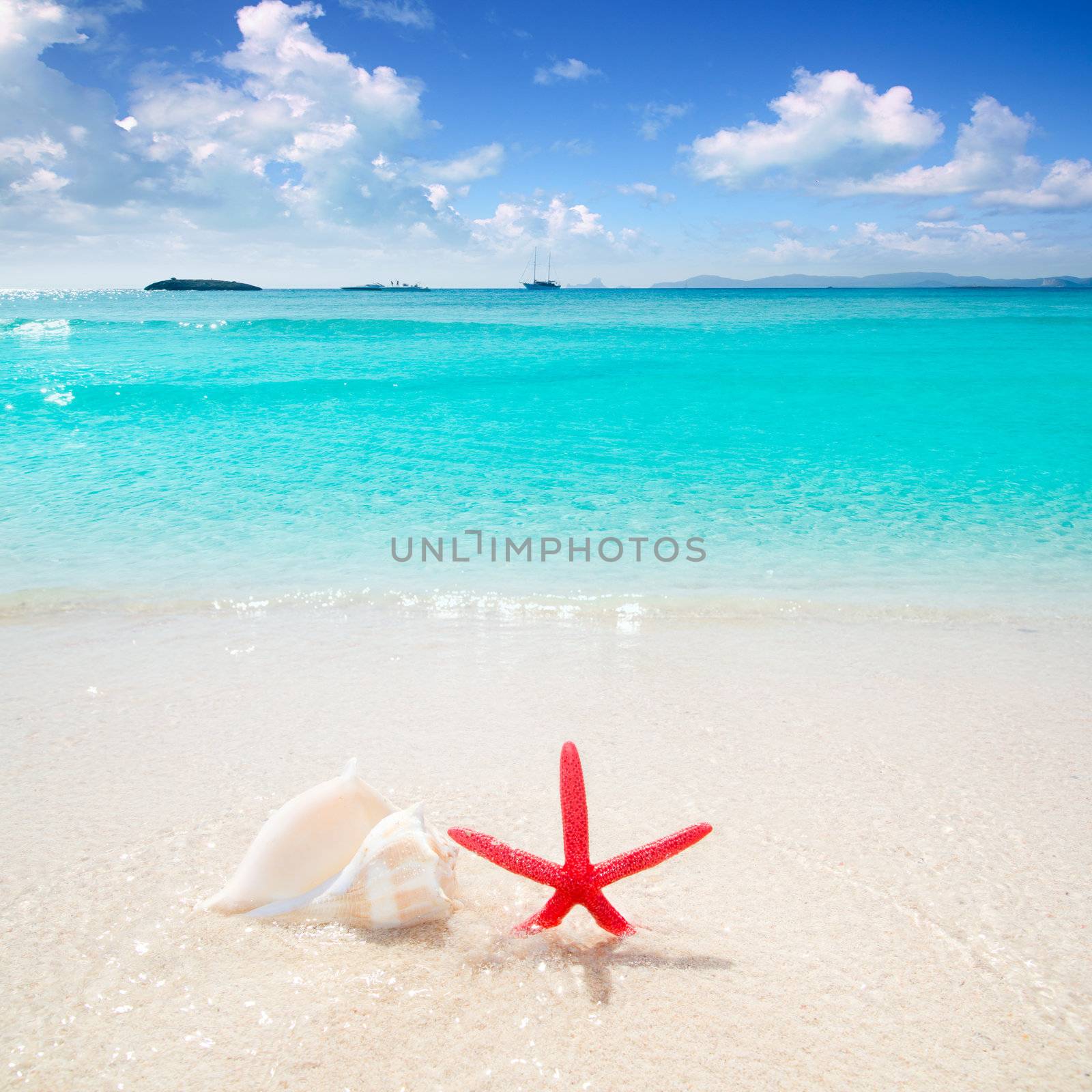 Starfish and seashell in white sand beach with turquoise tropical water