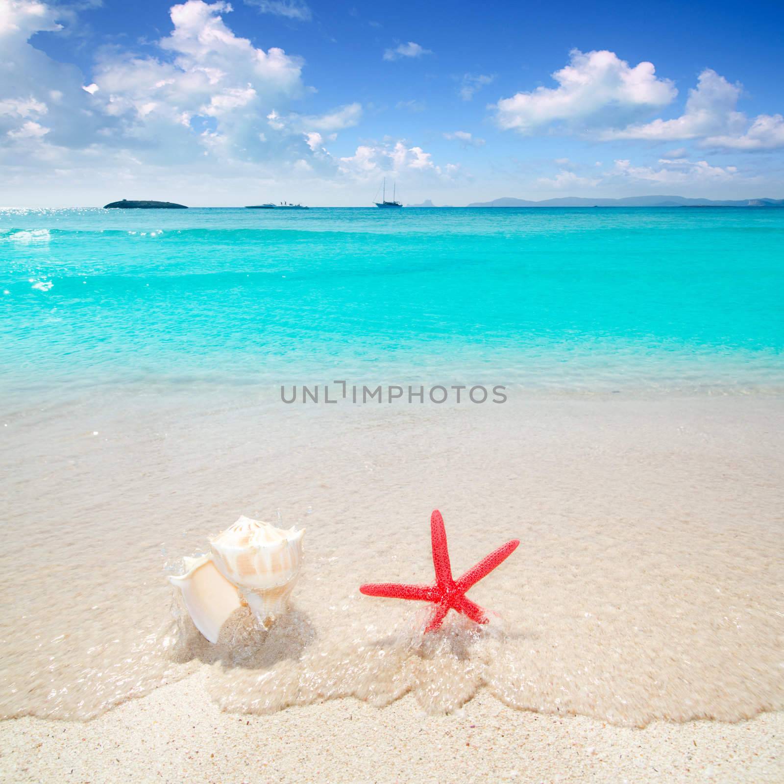 Starfish and seashell in white sand beach with turquoise tropical water