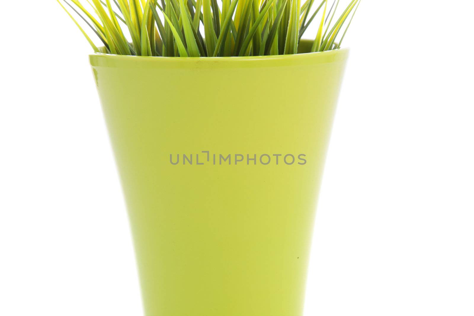 Colourful flowerpot with green grass by Farina6000