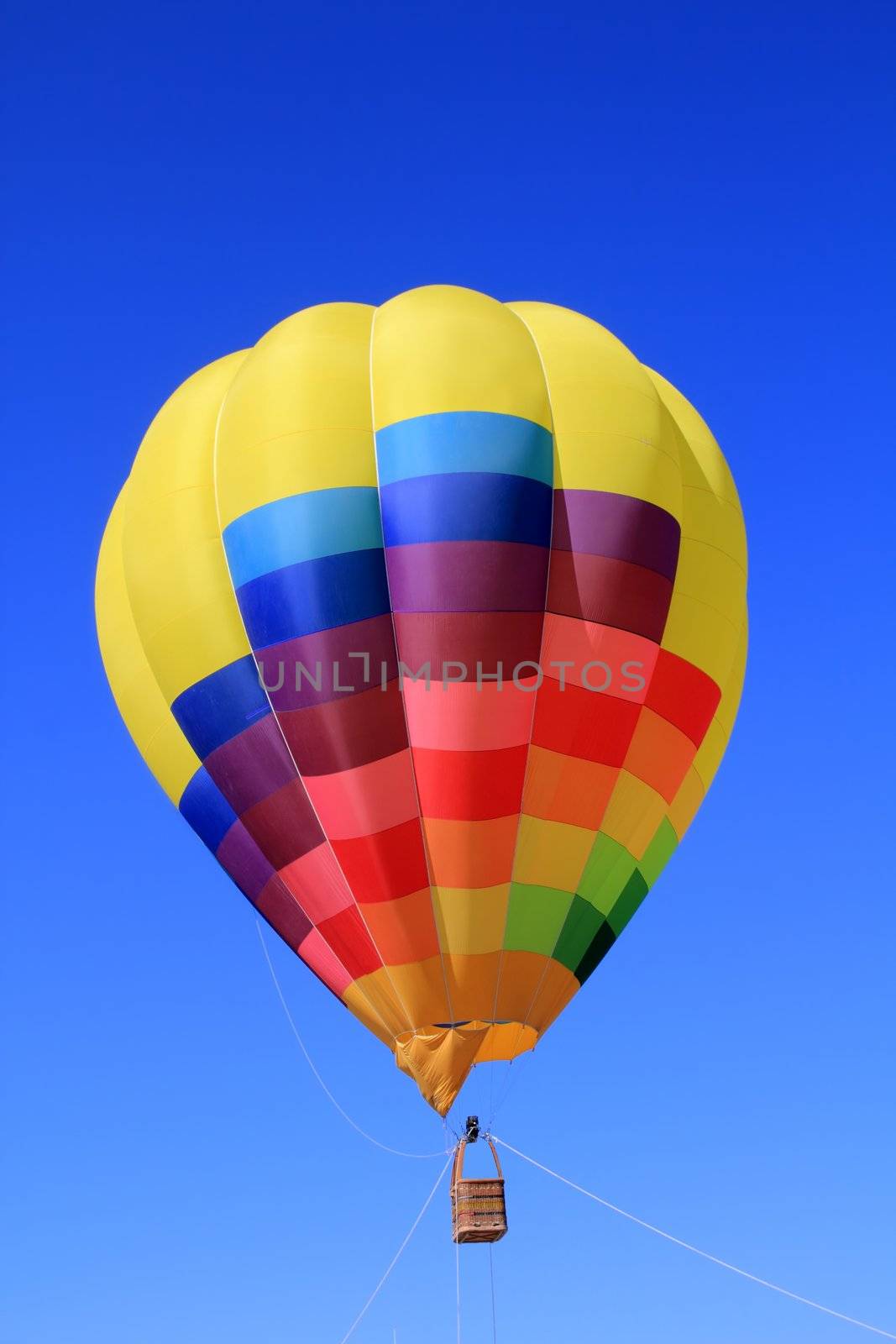 balloon colorful with vivid colors flying in blue sky