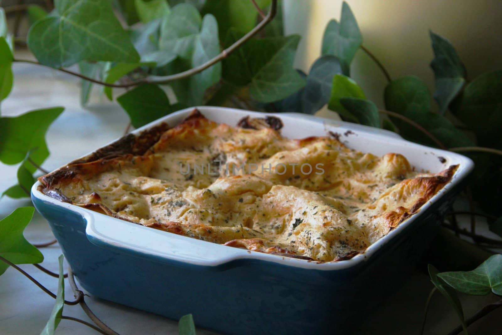 Baked pudding with a mint in greenery from curd