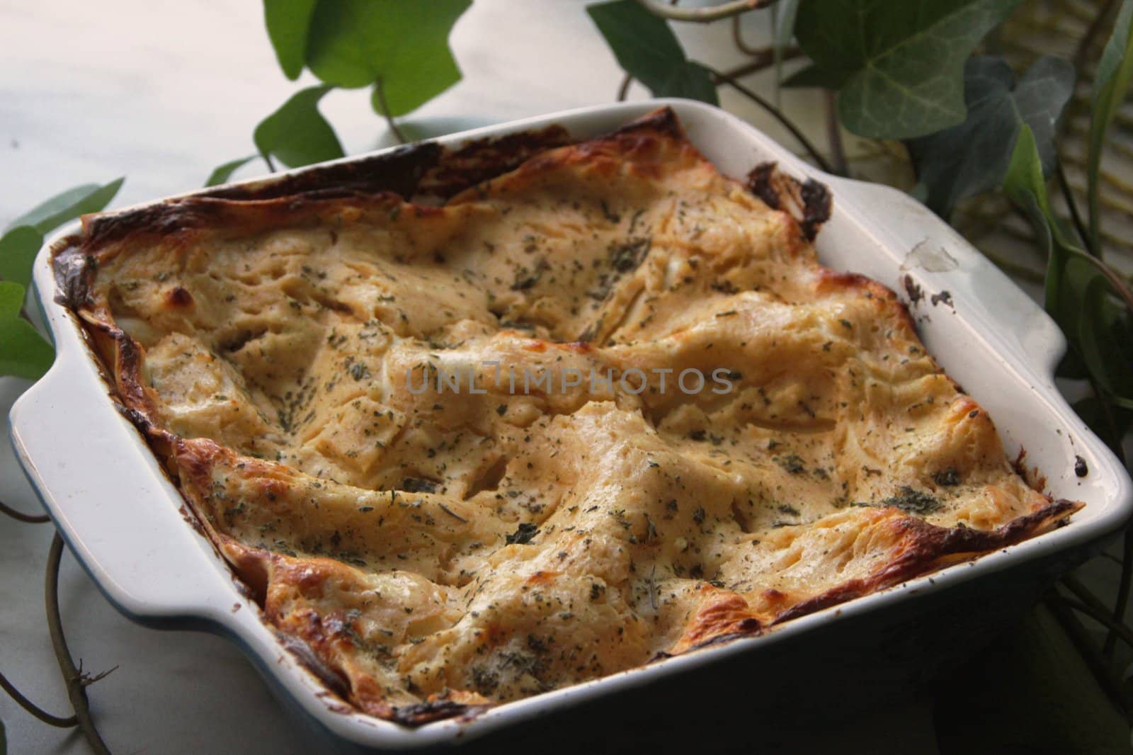 Baked pudding with a mint in greenery from curd