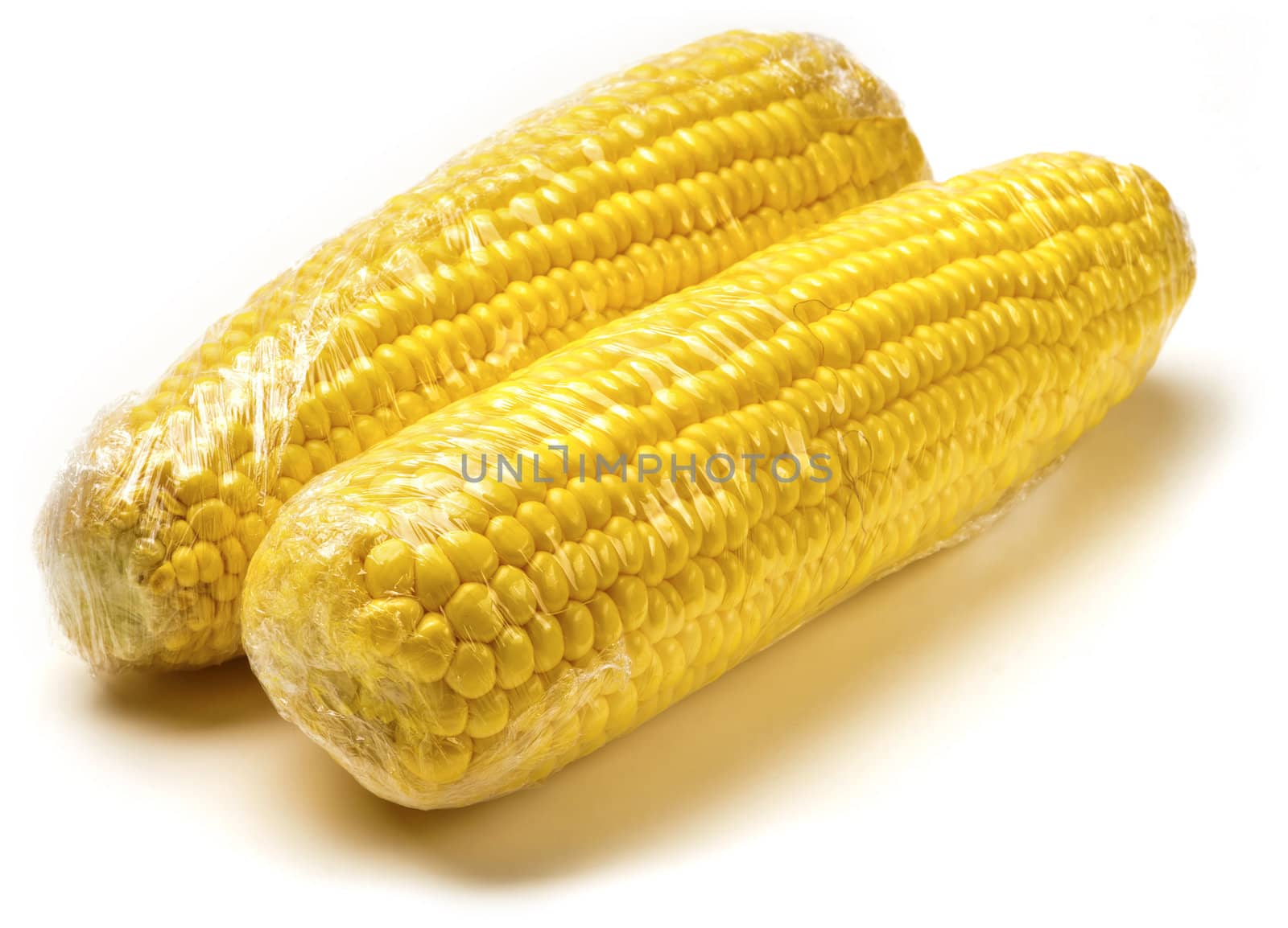 Two fresh ripe yellow corn on cobs with white background. Packed in plastic foil.