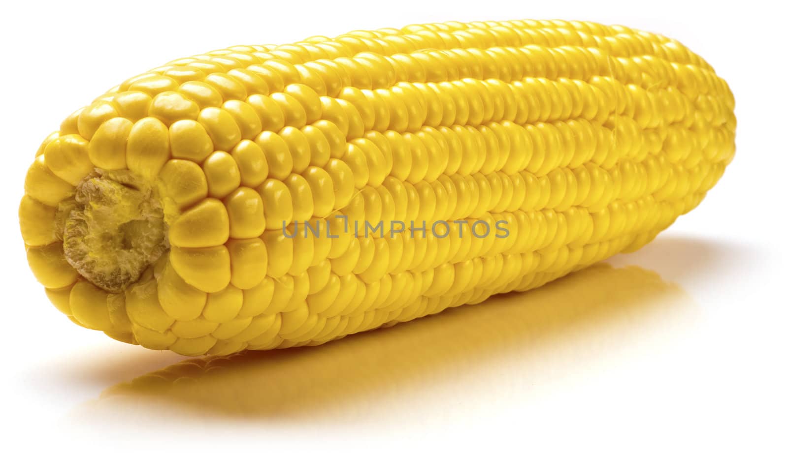Fresh ripe yellow corn on cob with white background.