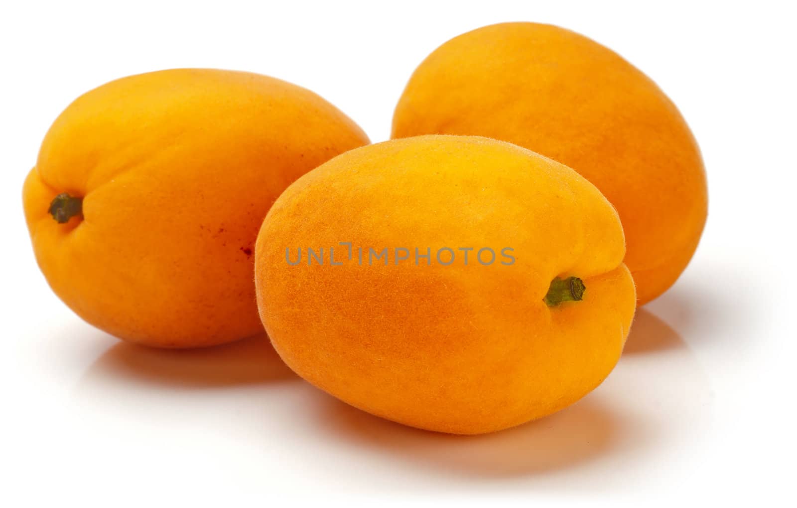 Three fresh mature apricots on white background.