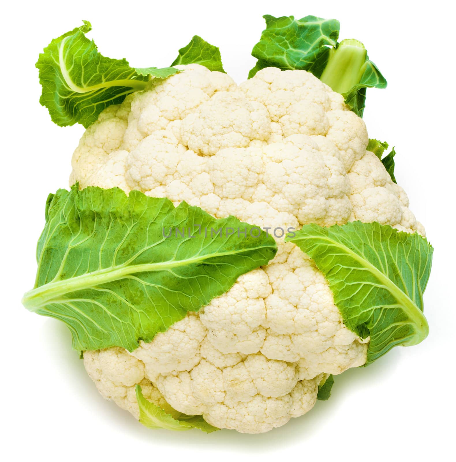 Cauliflower isolated on white background.
