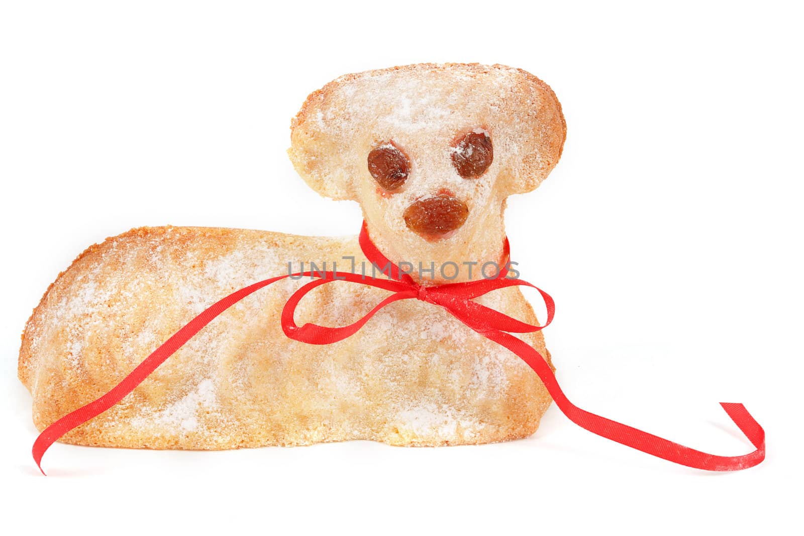 Easter lamb with powdered sugar isolated on white background
