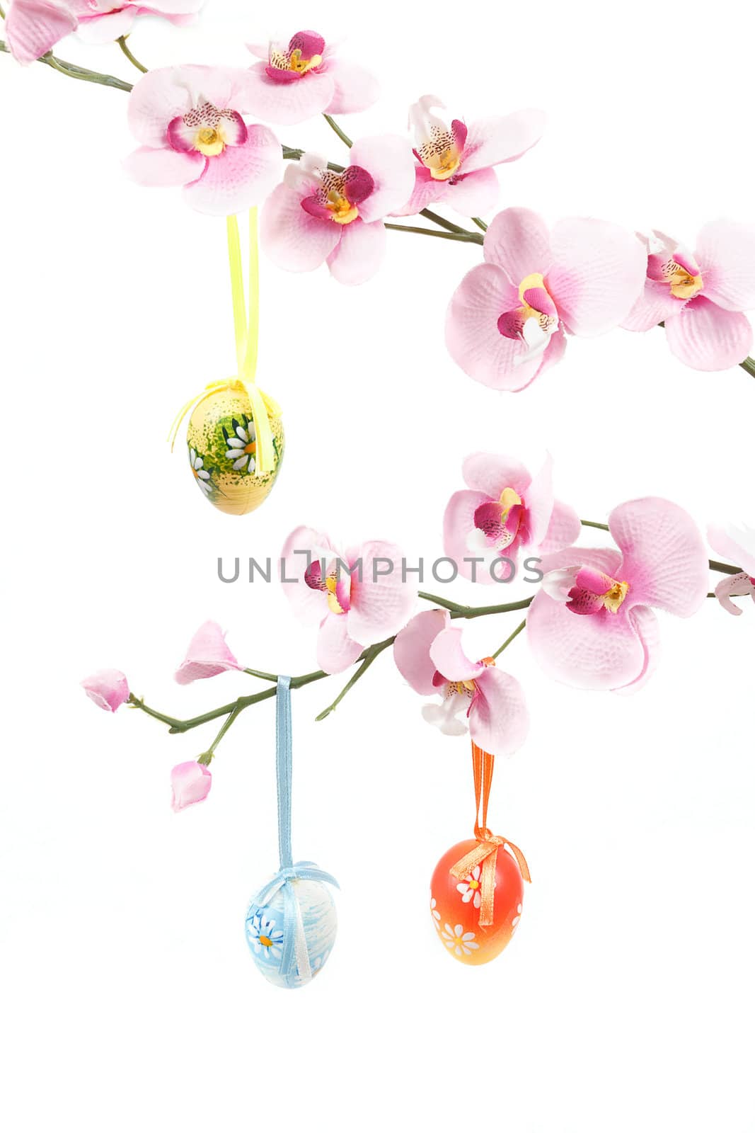 hanged bright color easter eggs with bows on spring flower isolated on white background