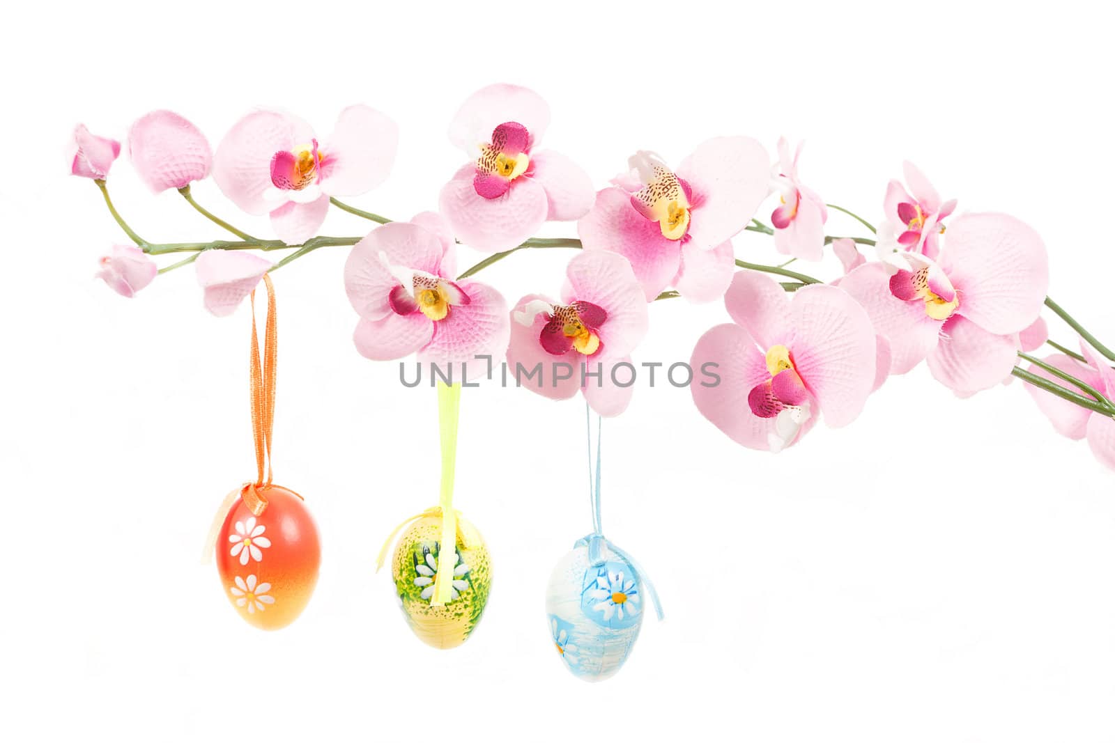 hanged bright color easter eggs with bows on spring flower isolated on white background